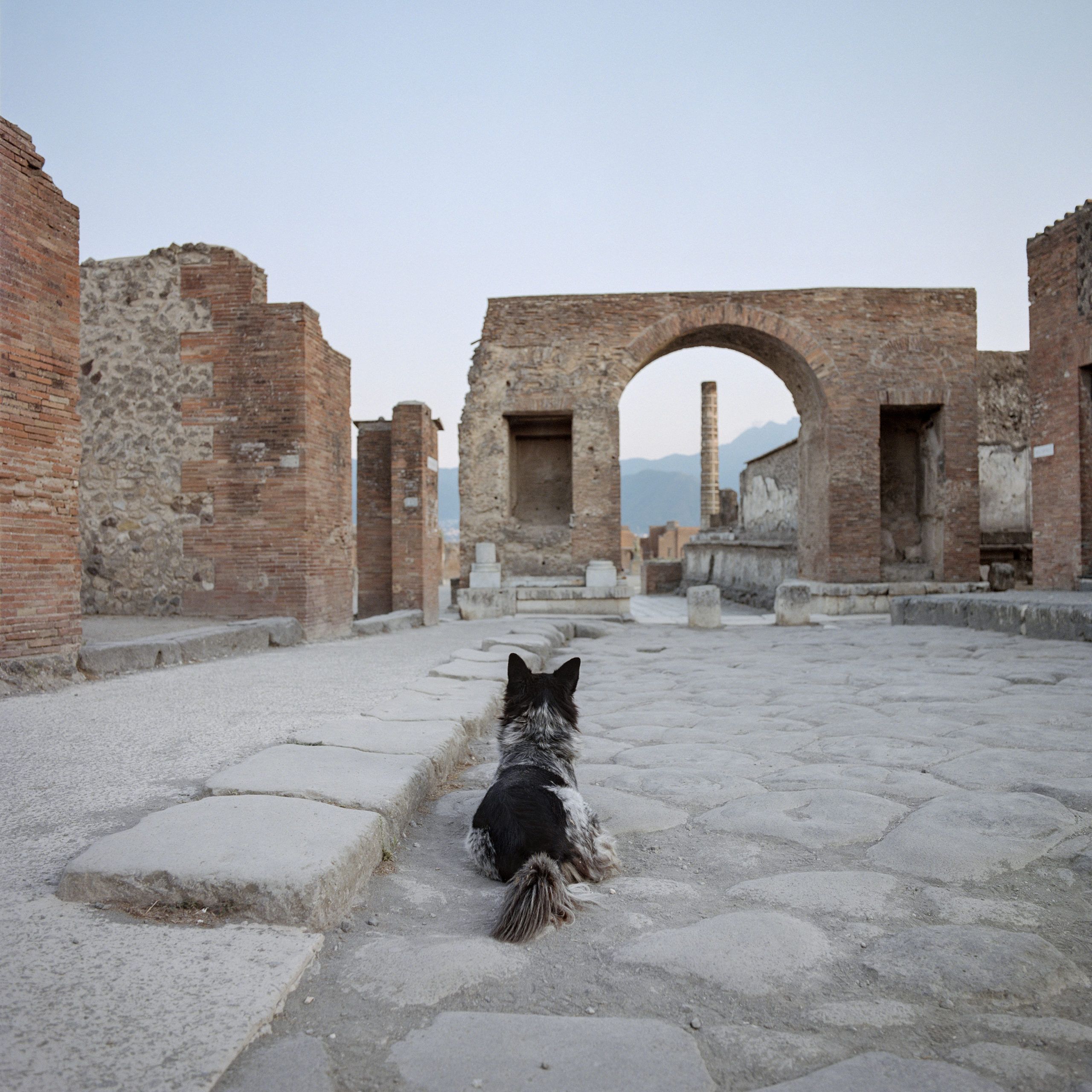 The School of Pompeii, 2019 5 fine art prints 100 x 100 cm, 5 texts © Courtesy de l'artiste