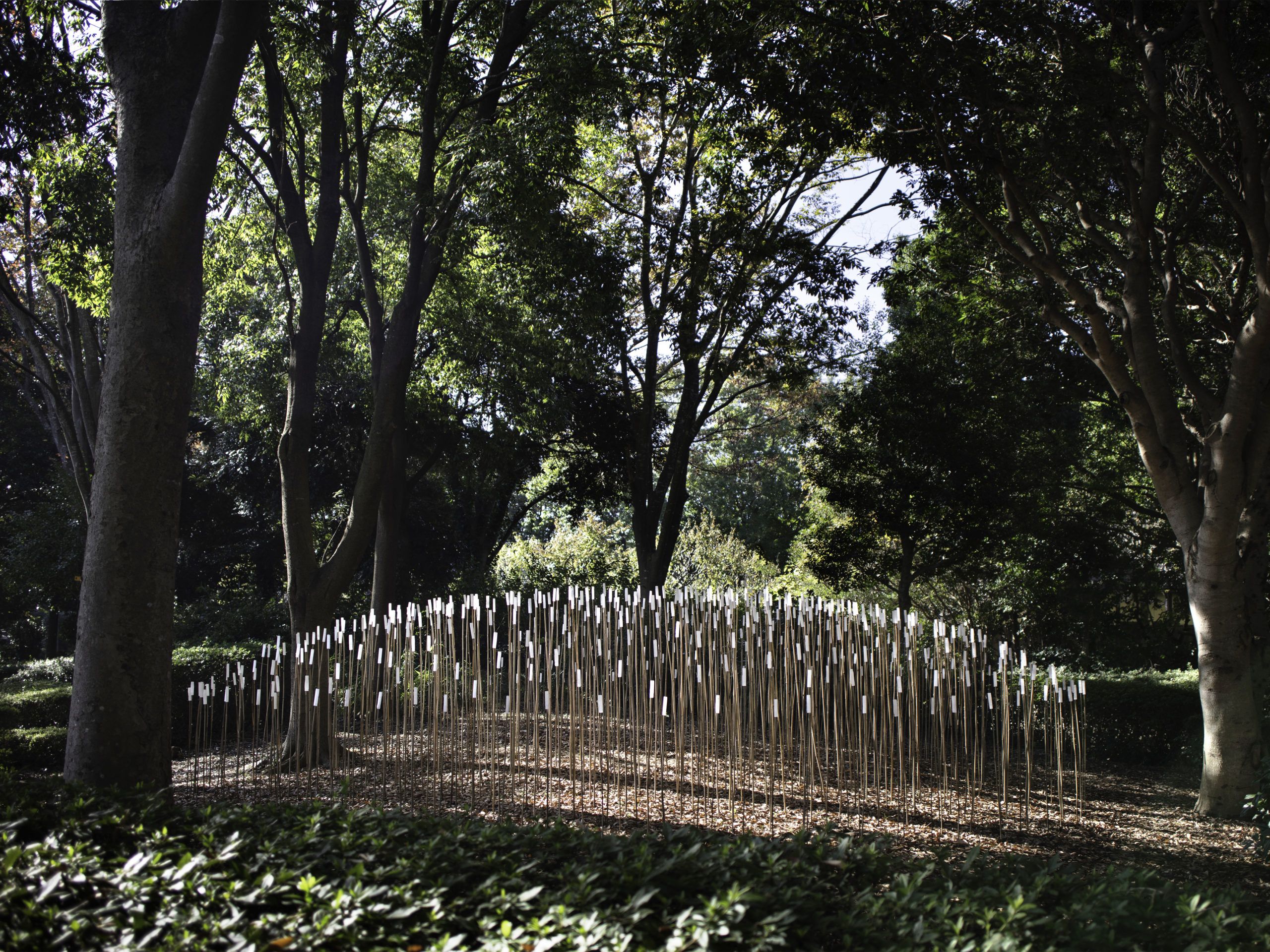 Le rêve des neiges éternelles, I, 2019 Installation, Biennale de Tsukuba, Japon Sélénites sur bambous © Courtesy de l’ariste